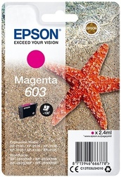 foto 1 EPSON afbeelding C13T03U34010 RANDAPPARATUUR > PRINTERS > INKT > ORIGINEEL > EPSON