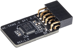 foto 1 GIGABYTE afbeelding GC-TPM2.0 SPI COMPONENTEN > MOEDERBORDEN > TPM