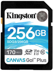foto 1 KINGSTON afbeelding SDG3 256GB RANDAPPARATUUR > GEHEUGENKAARTEN
