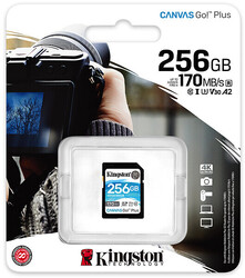foto 3 KINGSTON afbeelding SDG3 256GB RANDAPPARATUUR > GEHEUGENKAARTEN