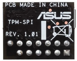 foto 2 ASUS afbeelding 90MC07D0-M0XBN1 COMPONENTEN > MOEDERBORDEN > TPM